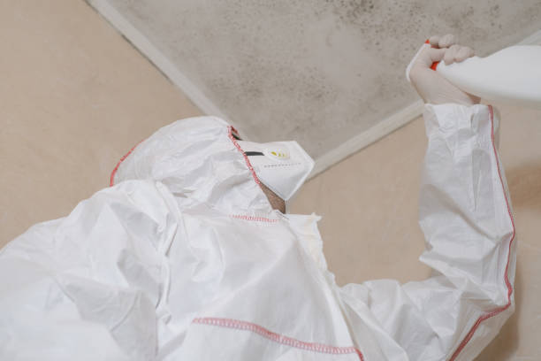 Professional Mold Remediation in Laflin, PA